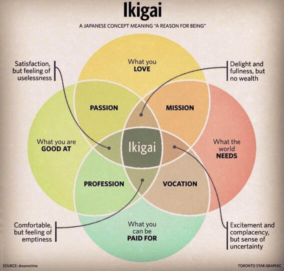 Ikigai là gì? Tại sao lãnh đạo lại cần quan tâm đến?